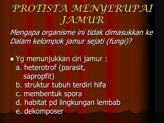 PROTISTA MENYERUPAI JAMUR