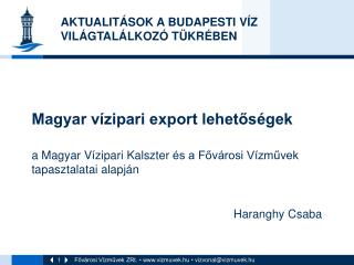 Magyar vízipari export lehetőségek