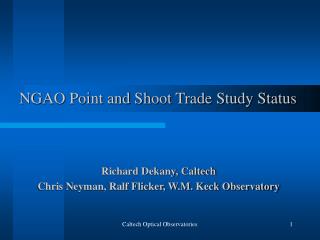 NGAO Point and Shoot Trade Study Status