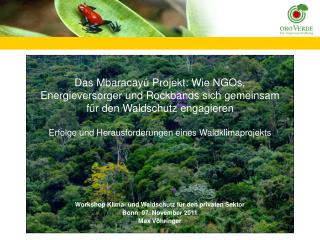 Workshop Klima- und Waldschutz für den privaten Sektor Bonn, 07. November 2011 Max Vöhringer
