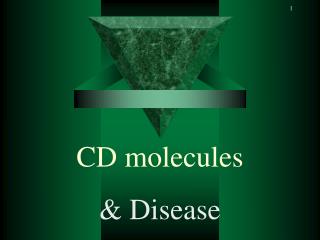 CD molecules