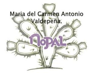 Maria del Carmen Antonio Valdepeña .