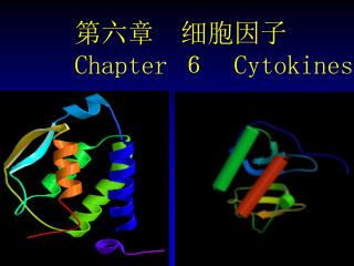 第六章　细胞因子 Chapter ６ Cytokines