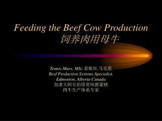 Feeding the Beef Cow Production	 饲养肉用母牛