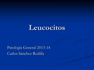 Leucocitos