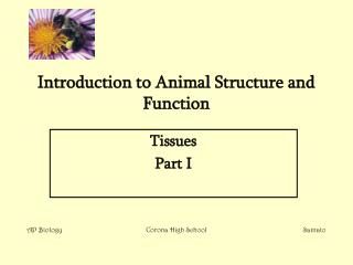 Introduction to Animal Structure and Function