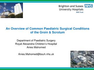 An Overview of Common Paediatric Surgical Conditions of the Groin &amp; Scrotum