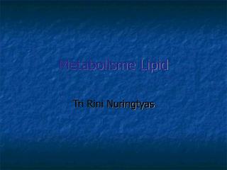 Metabolisme Lipid