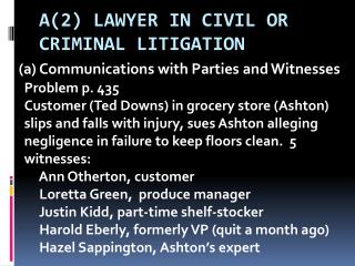 A(2) Lawyer in civil or criminal litigation