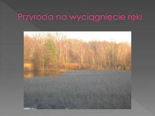 Przyroda na wyciągnięcie ręki