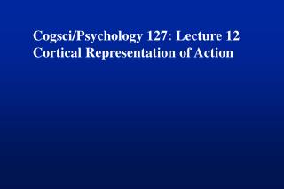Cogsci/Psychology 127: Lecture 12 Cortical Representation of Action