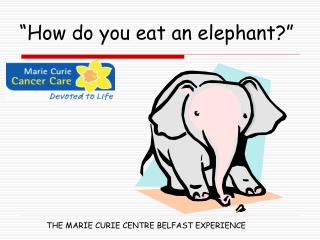 “How do you eat an elephant?”