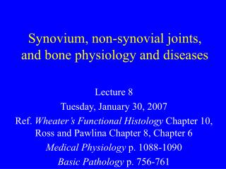 Synovium, non-synovial joints, and bone physiology and diseases