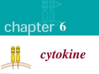 cytokine