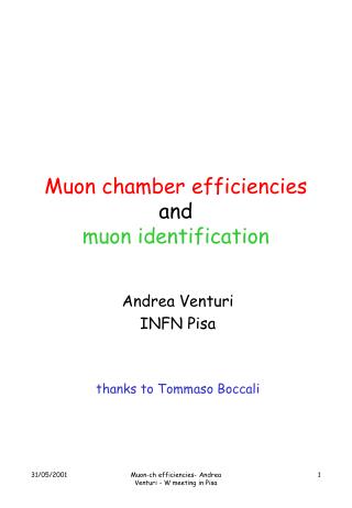 Muon chamber efficiencies and muon identification