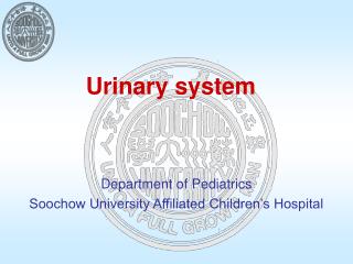 Urinary system