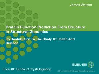 Protein Function Prediction From Structure In Structural Genomics