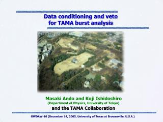 Data conditioning and veto for TAMA burst analysis