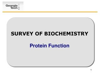 SURVEY OF BIOCHEMISTRY Protein Function