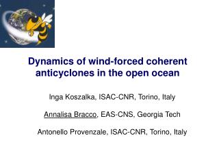 Dynamics of wind-forced coherent anticyclones in the open ocean