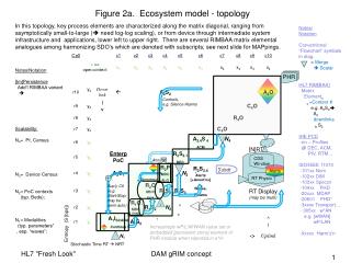 Figure 2a. Ecosystem model - topology