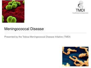 Meningococcal Disease