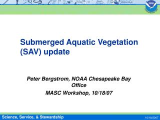 Submerged Aquatic Vegetation (SAV) update