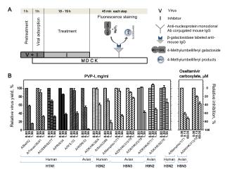 Relative virus yield, %