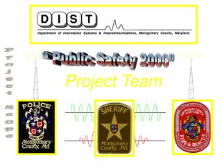 Project Team