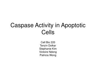 Caspase Activity in Apoptotic Cells