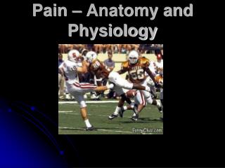 Pain – Anatomy and Physiology