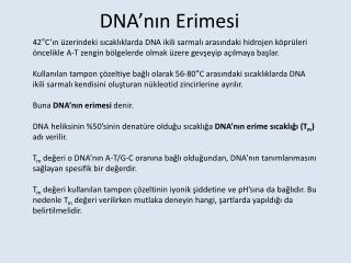 DNA’nın Erimesi