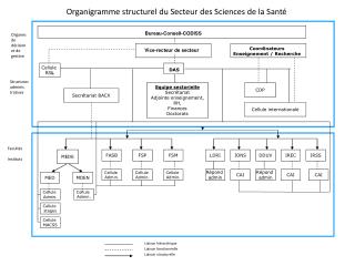 Vice-recteur de secteur