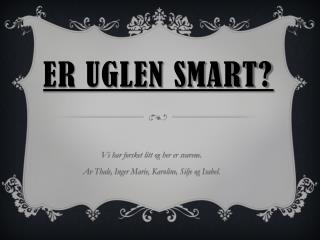 Er uglen smart?