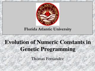 Evolution of Numeric Constants in Genetic Programming