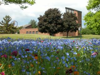 Associated Mennonite Biblical Seminary