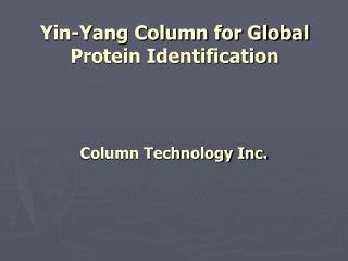 Yin-Yang Column for Global Protein Identification