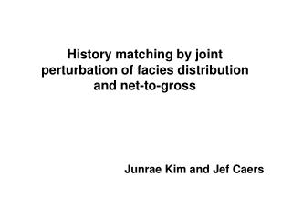 History matching by joint perturbation of facies distribution and net-to-gross