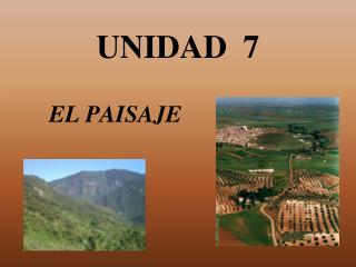 UNIDAD 7