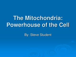 The Mitochondria: Powerhouse of the Cell