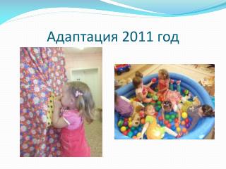 Адаптация 2011 год