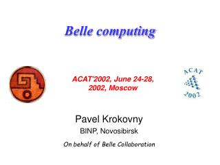 Belle computing