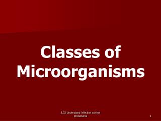 Classes of Microorganisms