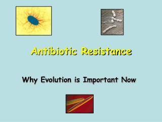 Antibiotic Resistance