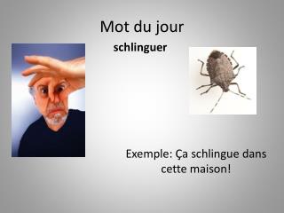 Mot du jour