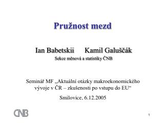 Pružnost mezd