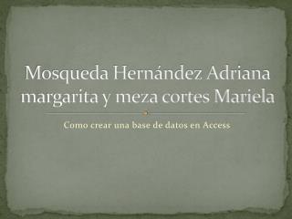 Mosqueda Hernández Adriana margarita y meza cortes Mariela