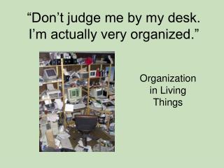 “Don’t judge me by my desk. I’m actually very organized.”