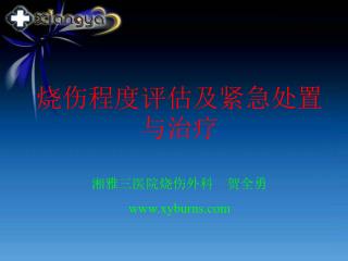 烧伤程度评估及紧急处置与治疗 湘雅三医院烧伤外科 贺全勇 xyburns