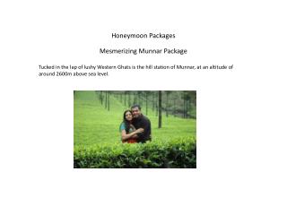 Mesmerizing Munnar Package